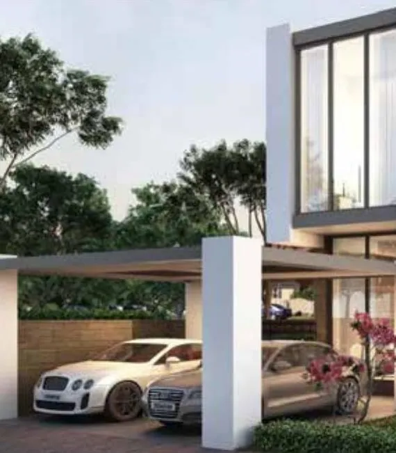 Kensington Plots